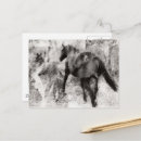 Pesquisar por potro da égua cartoes postais Equino