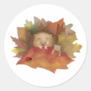 Pesquisar por cama adesivos Pássaro