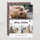 Pesquisar por gato roxo cartoes Qualquer pessoa