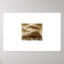 Pesquisar por dirigível pôsteres pósteres Fotografia