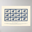 Pesquisar por cavalos pósteres Égua