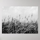 Pesquisar por seascape Coastal