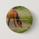 Pesquisar por cavalos botons Natureza