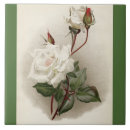 Pesquisar por victorian azulejos Branco