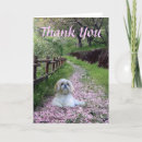 Pesquisar por shitzu cartoes Shih tzu