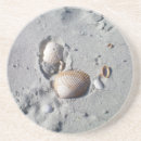 Pesquisar por beachy porta copos Seashells