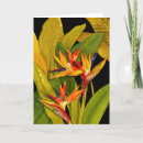 Pesquisar por birds cartoes Floral