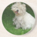 Pesquisar por frise do bichon porta copos Cão