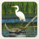 Pesquisar por grande egret Aves aquáticas