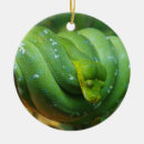 Pesquisar por cobra verde ornamentos Natureza