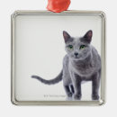 Pesquisar por gato azul ornamentos Animais