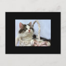 Pesquisar por cromo de colecção Gato