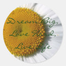 Pesquisar por dream big adesivos Fofofo