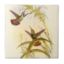 Pesquisar por pássaro decorativo azulejos Beija flor