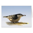 Pesquisar por pica pau cinzento breasted branco Animal