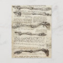 Pesquisar por esboços de leonardo da vinci cartoes postais Renascimento