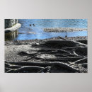 Pesquisar por raiz pósteres Raízes de árvores