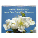 Pesquisar por calandras Flores