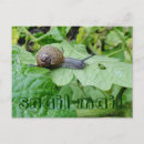 Pesquisar por caracol cartoes postais Para todos