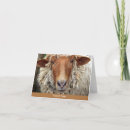 Pesquisar por thank ewe cartoes Animais