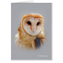 Pesquisar por olhos da coruja cartoes Corujas