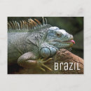 Pesquisar por lizard cartoes postais Natureza
