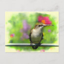 Pesquisar por flores minúsculas cartoes postais Aves
