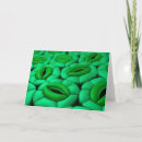 Pesquisar por epiderme cartoes postais Células vegetais