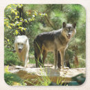 Pesquisar por lobo cinzento porta copos Lobos