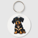 Pesquisar por cachorro rottweiler chaveiros Animal