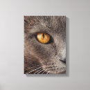 Pesquisar por da cara impressão de canvas Para todos