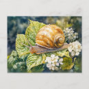 Pesquisar por caracol cartoes postais Lento