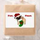 Pesquisar por patas etiquetas Animal