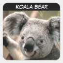 Pesquisar por animal australiano adesivos Qualquer pessoa