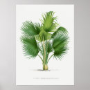 Pesquisar por vegetais artes pósteres Ilustração
