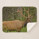 Pesquisar por michele mantas Veado