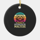 Pesquisar por cão maltês ornamentos Cachorrinho