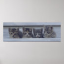 Pesquisar por fila pôsteres pósteres Fotografia