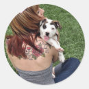 Pesquisar por do terrier de pitbull adesivos Touro