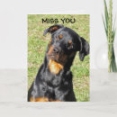 Pesquisar por cão do rottweiler horizontal cartoes Para todos