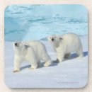 Pesquisar por urso polar porta copos Natureza
