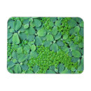 Pesquisar por flutuador imas Água