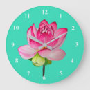 Pesquisar por flor de lótus cor de rosa Água