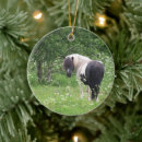 Pesquisar por cavalo do pinto natal decoração Pônei