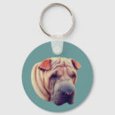 Pesquisar por sharpei chaveiros Cachorro