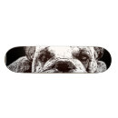 Pesquisar por buldogue comp skates Animal de estimação