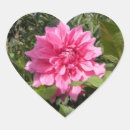 Pesquisar por perfeito coracoes adesivos Flores
