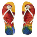 Pesquisar por araras roupas Qualquer pessoa