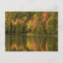 Pesquisar por reflexo cartoes postais Natureza