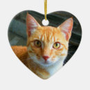 Pesquisar por animais estimação memoriais ornamentos Laranja